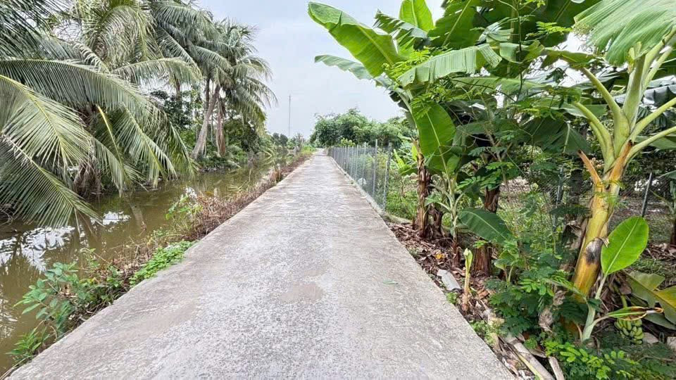 Bán đất 77m² ngang 5m . đường rộng em . giá 580 triệu Xã An Quang(Quang Hưng). liên hệ 0362558882