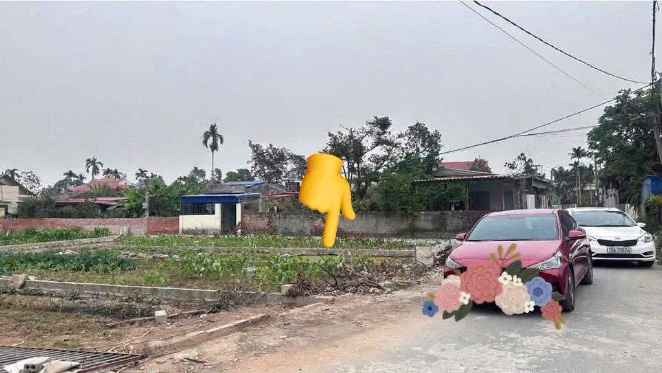 Bán đất 69m² ngang 4,5m . đường thôn 5,5m. giá 990 triệu Xã An Quang( Quang Hưng) liên hệ 0362558882