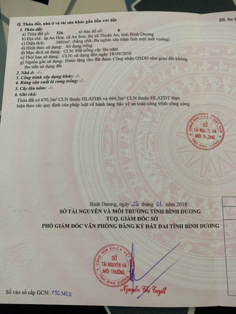Đất An Sơn giá rẻ