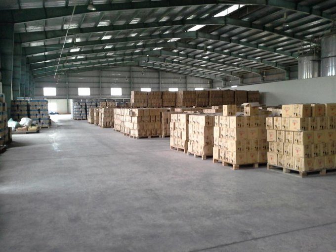 Cho Thuê Kho Xưởng Đa Diện Tích Ngay KCN Mỹ Phước, Bến Cát Bình Dương