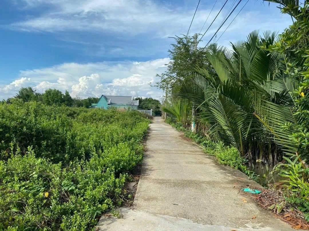 Bán đất 1635,6m² giá 6.7 tỷ tại Xã An Thới Đông Huyện Cần Giờ