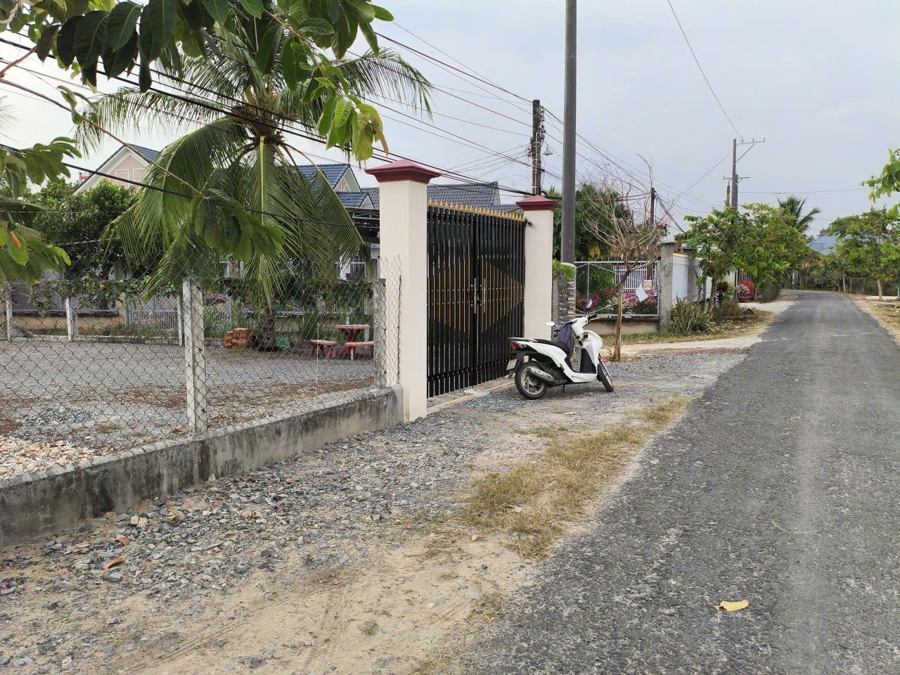 Hình 2