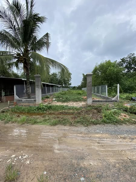 Đất 10x53 530m2 1ty sổ hồng riêng SDT 0394694404