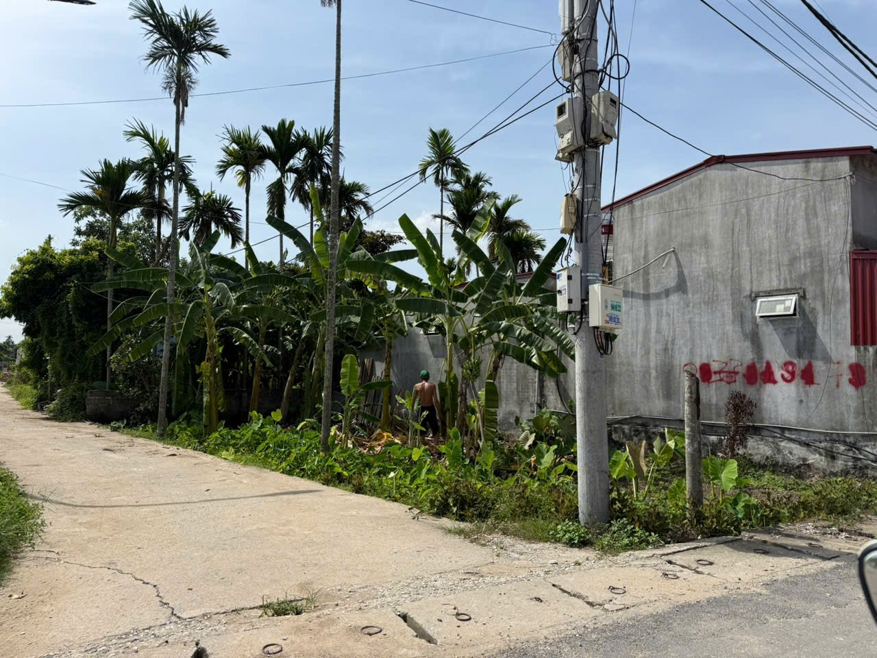 Bán đất 100m² ngang 6,5m . đường nhựa 7m. giá 1.85 tỷ Xã An Trường(Bát Trang). liên hệ 0362558882
