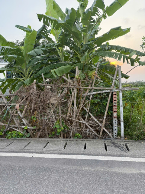 Bán đất 87.2m² ngang 4,5m. đường nhựa 7m. giá 1.59 tỷ Xã An Trường( Bát Trang). liên hệ 0362558882