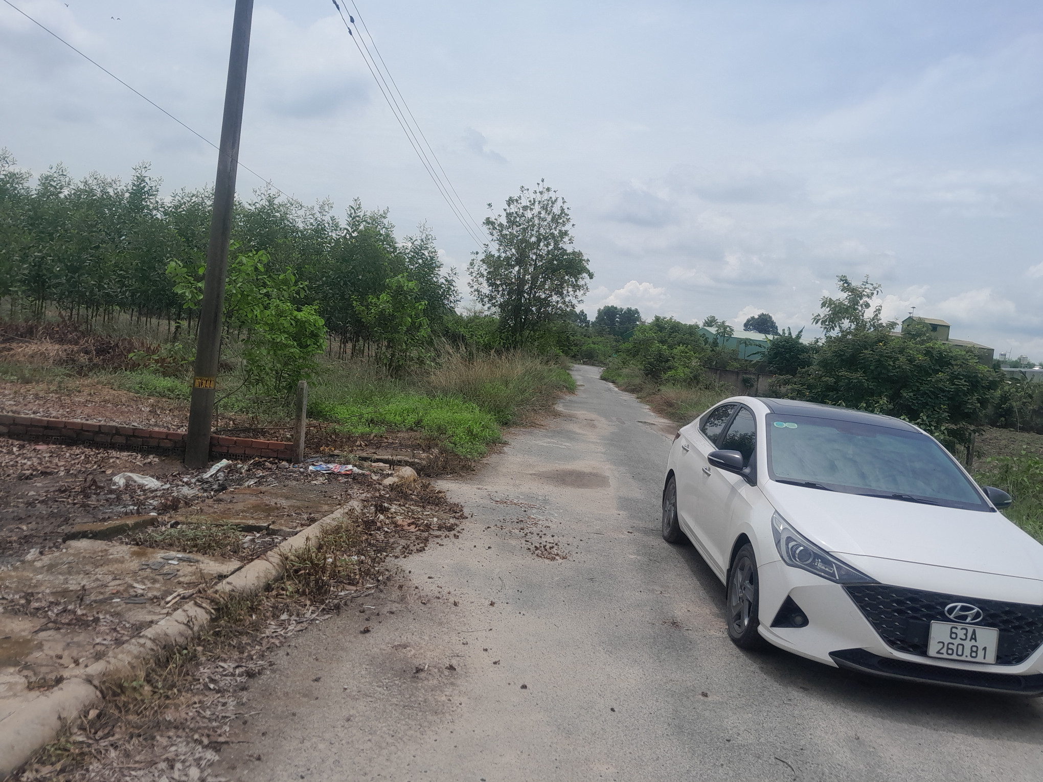 Bán đất full tho cu