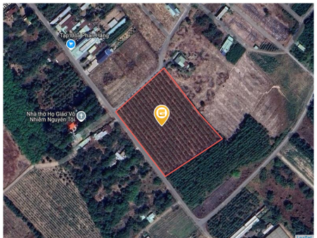 Bán đất 4000m² 12.8 tỷ tại Xã An Viễn Huyện Trảng Bom