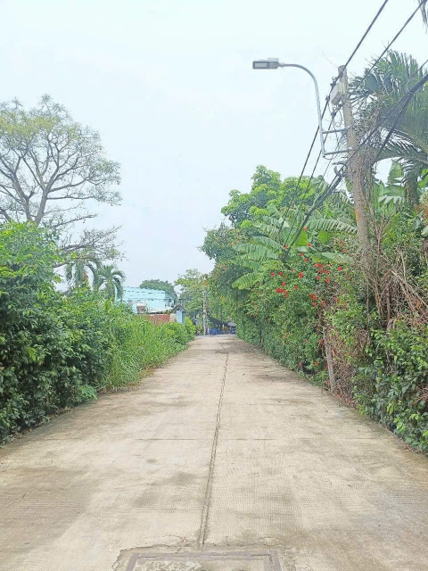 Bán đất 240.3m² ngang 6,5m giá 8.6 tỷ Xã Bà Điểm
