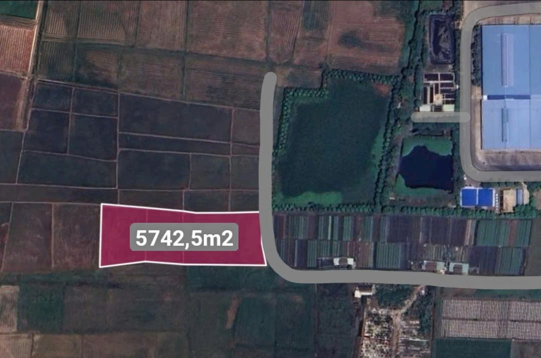 Bán đất 5742,5m² ngang 45m giá 12.5 tỷ Xã Bà Điểm
