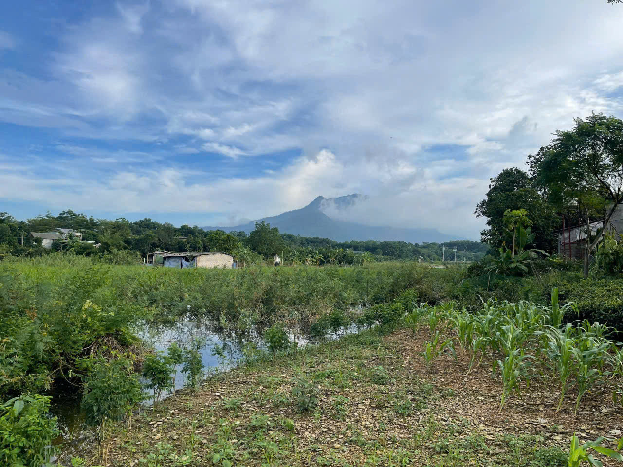 Bán đất nghỉ dưỡng view toàn cảnh Hồ Cẩm Quỳ, tay chạm nước