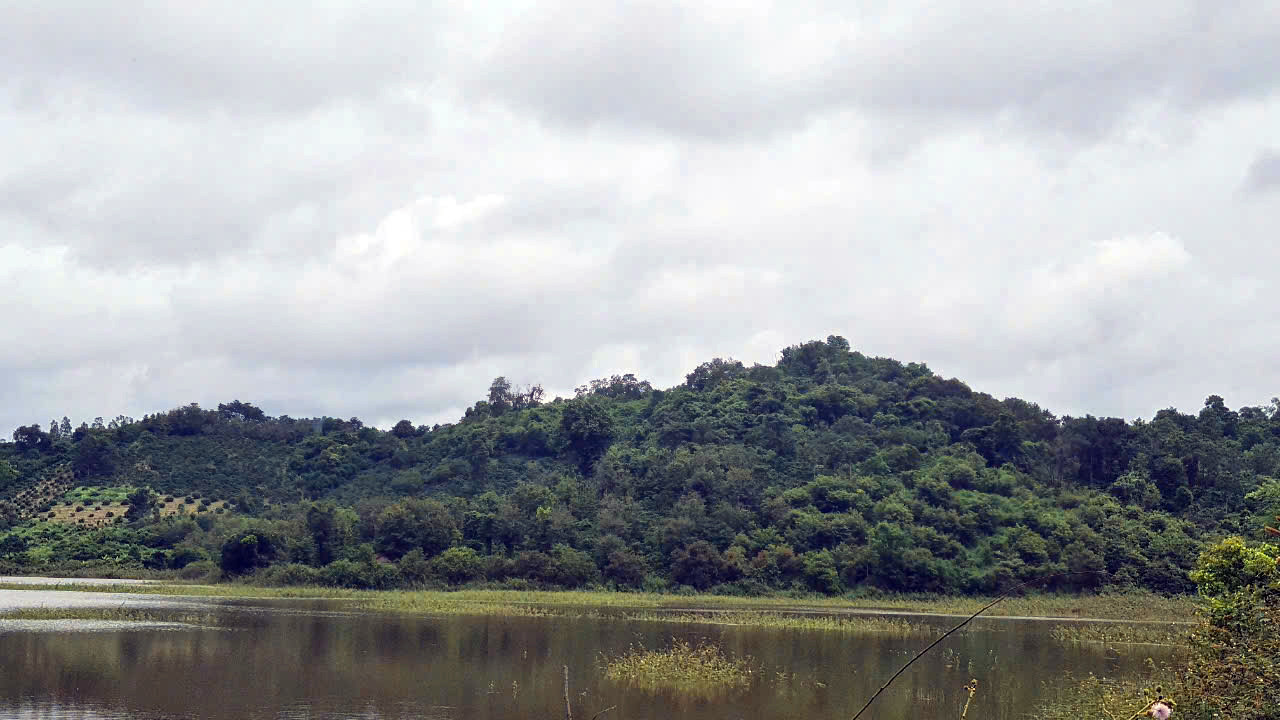 500 ha đất thuê còn 30 năm kề Tỉnh lộ 690, giáp đập Thủy lợi - Huyện Krông Ana - Đăk Lăk, giá chỉ 25 tỷ