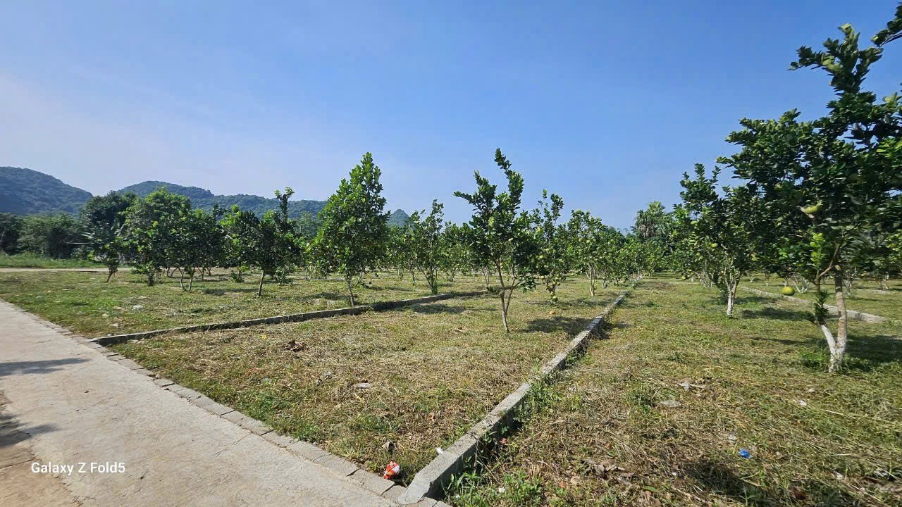 🚨 ĐẤT NỀN GIÁ SỐC 2XX TRIỆU/LÔ – SỔ ĐỎ RIÊNG