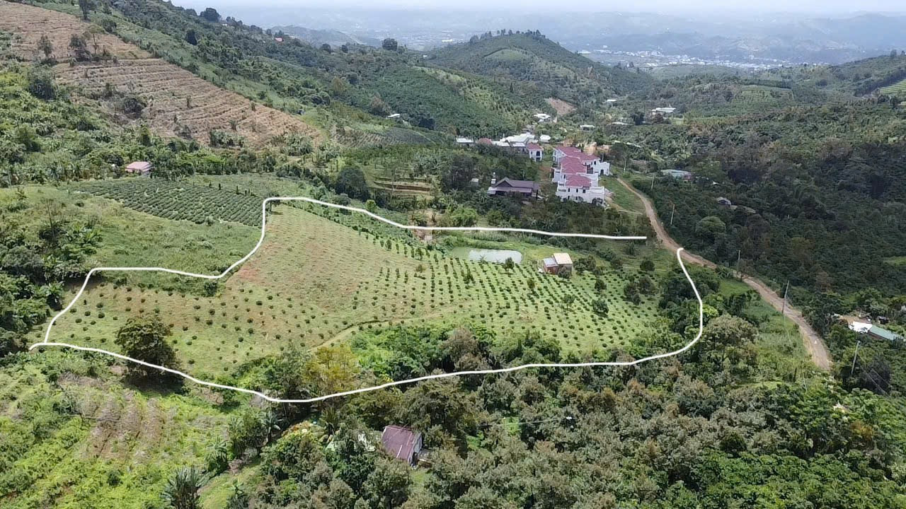 Bán đất 14000m² giá 4.62 tỷ Xã Bảo Lâm 3