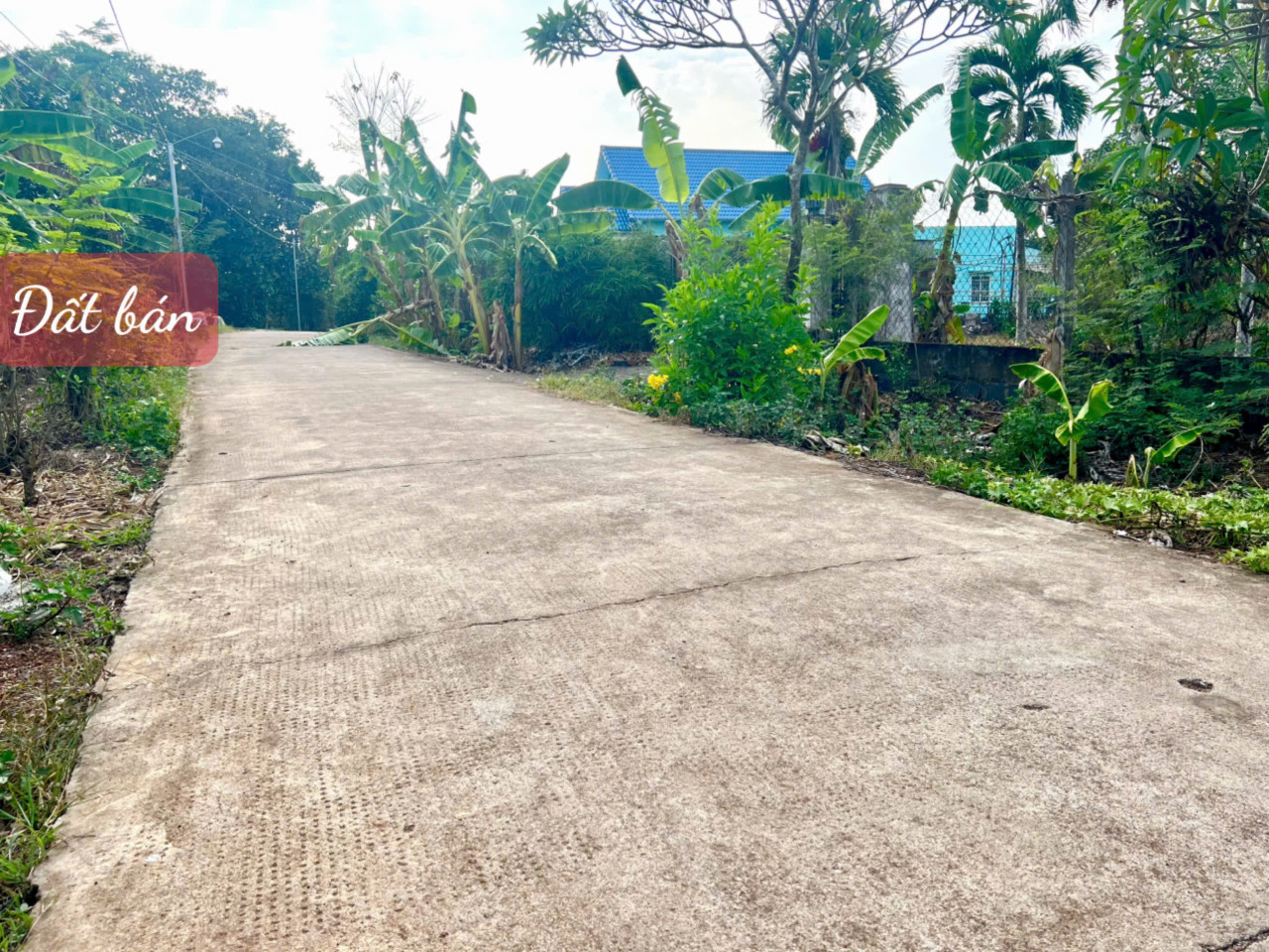 bán đất vườn Bảo Quang Long Khánh, 1000m phủ hồng, giá 1,26 tỷ