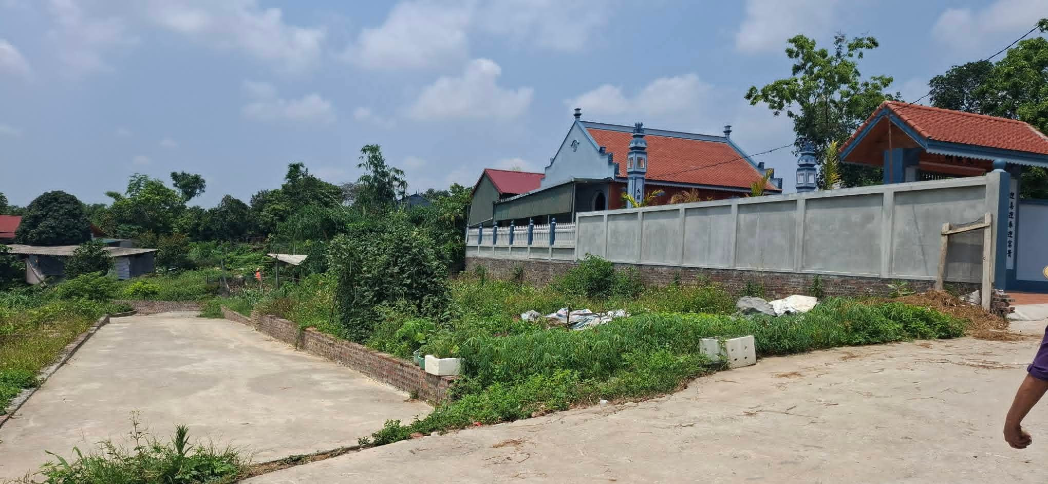 🏡 1,xx tỷ có lô góc tại thôn Bằng Tạ, xã Bất Bạt, Ba Vì, Hà Nội