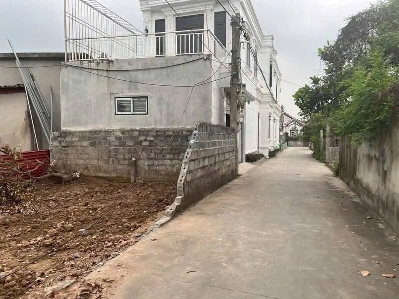 ĐẤT CHÍNH CHỦ - 3 LÔ LIỀN KỀ - Thượng Trang, Bát Trang, An Lão - Hải Phòng