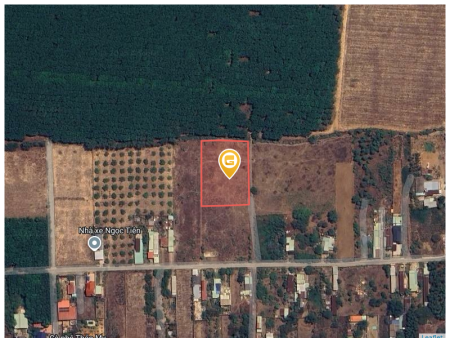Bán đất 10.000m² 62 tỷ tại Xã Bàu Cạn Huyện Long Thành