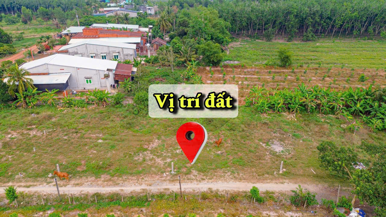 Bán đất Gò Dầu - Tây Ninh, gần khu công nghiệp giá chỉ 3xxtr