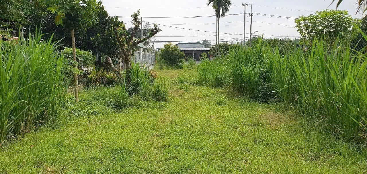 Chủ ngộp ngân hàng cần bán gấp lô đất biệt thự 659m2 ngay Bầu Đồn chỉ 930 triệu