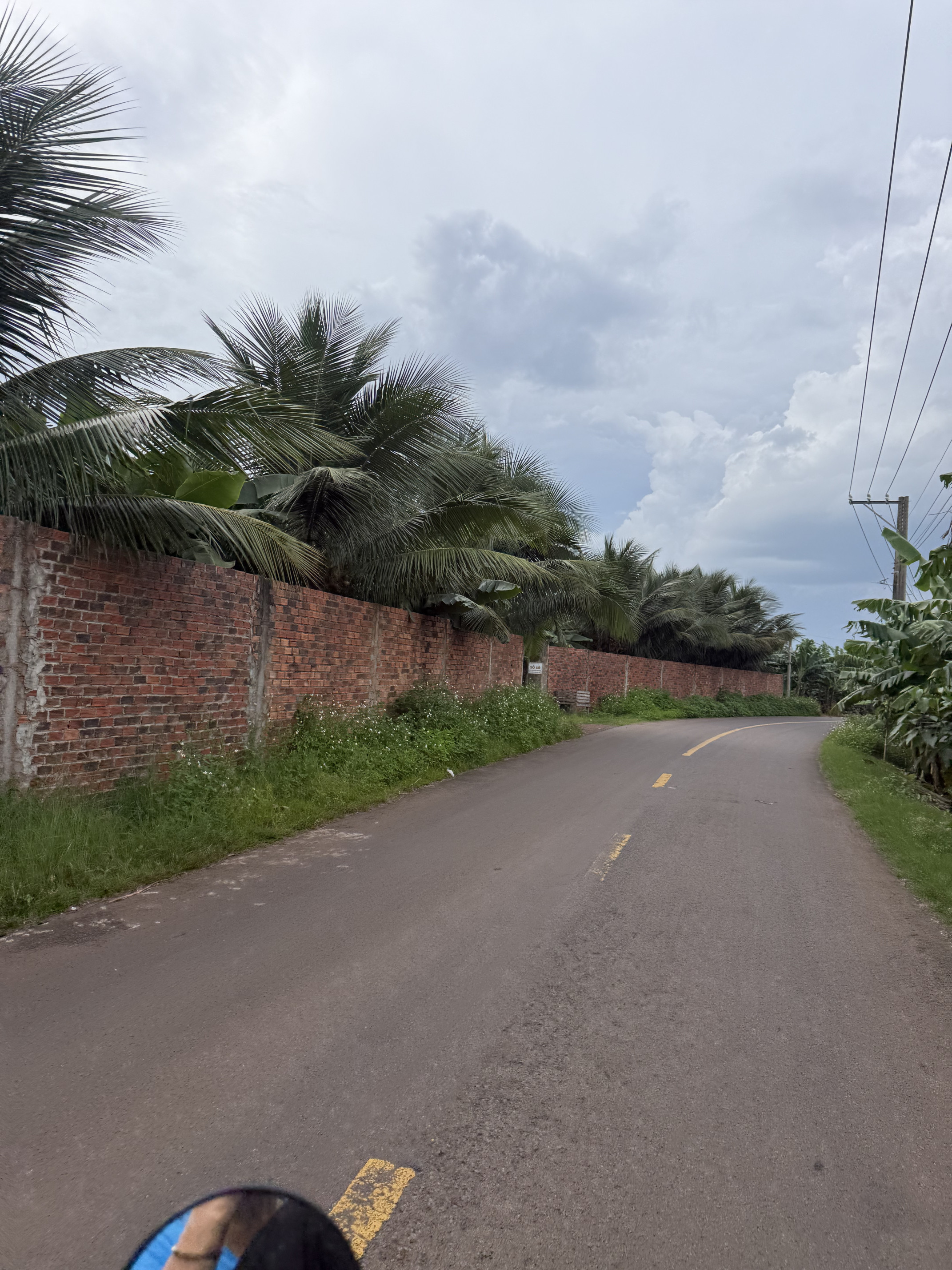 Bán đất 16186m²
Mặt đường nhựa ngang 62m
Có thổ cư
Có xây tường rào
Có nhà thái to
Có nhà kho và hồ tưới 200khối
Có hệ thống tưới tự động
Có năng lượng mặt trời
Có thu 4200cây chuối mô (~100tấn)
Giá 1tỷ/sào (có thương lượng trực tiếp)
Ấp cây điề
