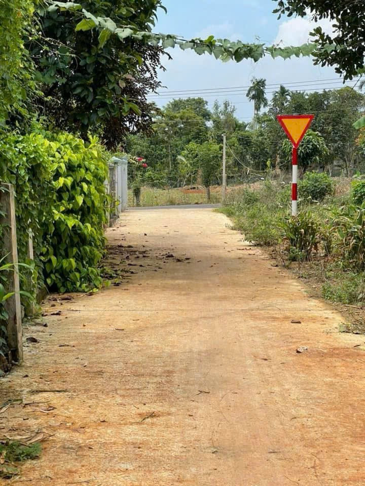 Bán đất 230m² ngang 6.4m giá 700 triệu Xã Bàu Lâm