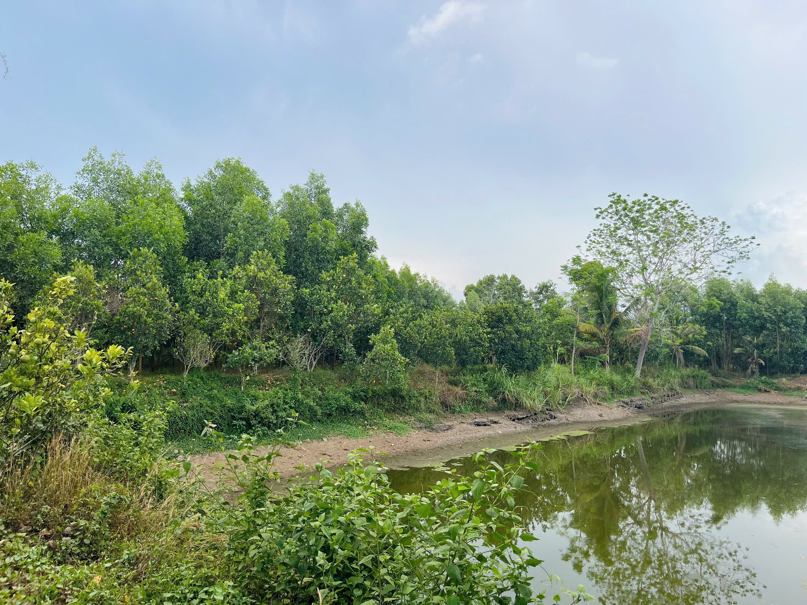 Chính Chủ Bán 20.000m2 Đất Tại Xuyên Mộc - Bà Rịa Vũng Tàu