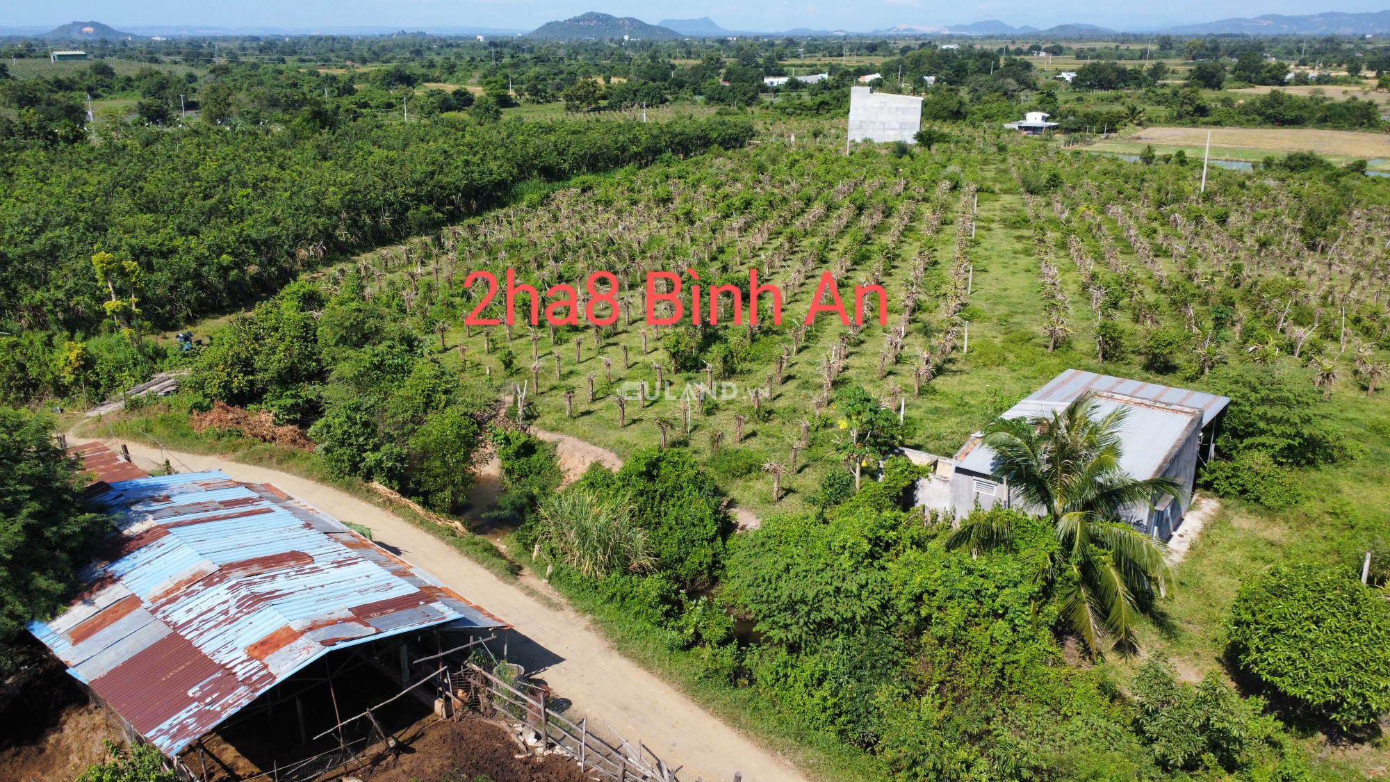 Cần bán 28839,3m Bình An - Bắc Bình - Bình Thuận
