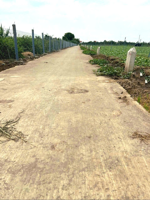 330tr bán đất thổ cư, đường ôtô tại Bình Ân, Gò Công Đông,Tiền Giang.