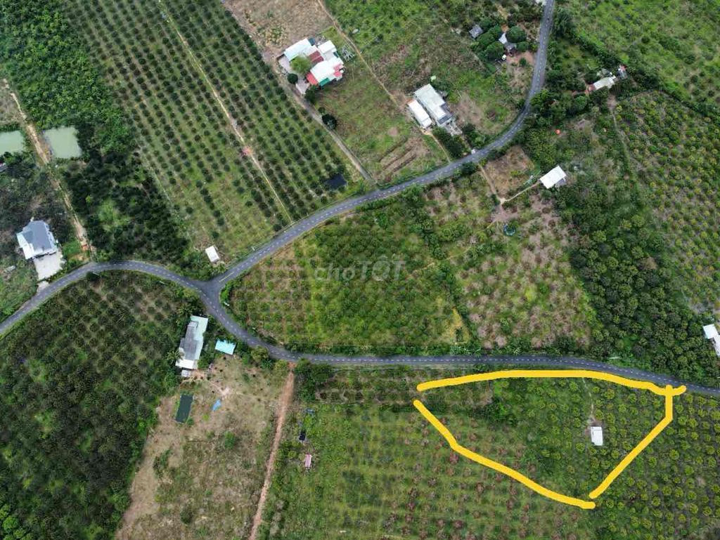 Bán đất 8483.7m² ngang 142m giá 9 tỷ Xã Bình Châu