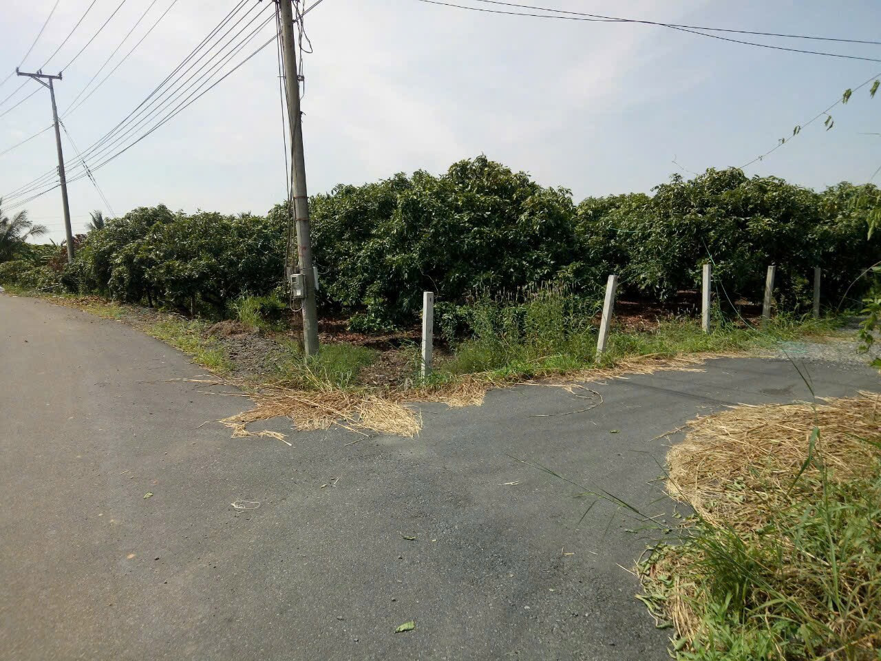 Bán đất 9.975,9m² ngang 74m giá 12.5 tỷ Xã Bình Châu