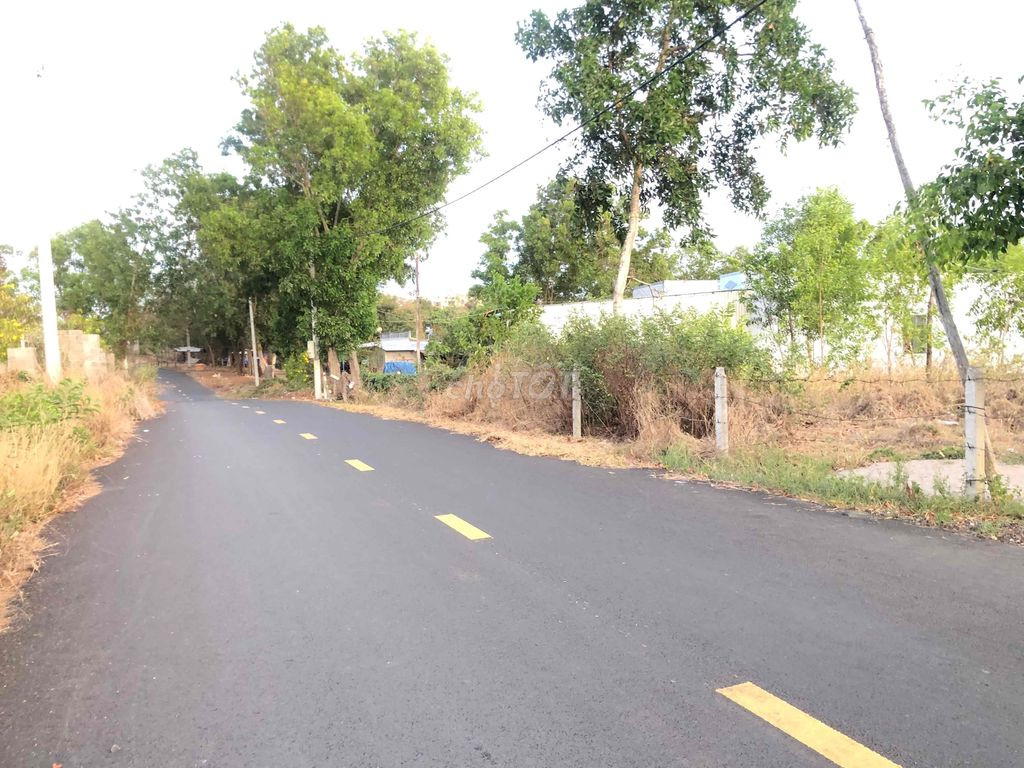 Lô đất đẹp Bình Châu, Xuyên Mộc, BRVT 53m mặt tiền đường nhựa
