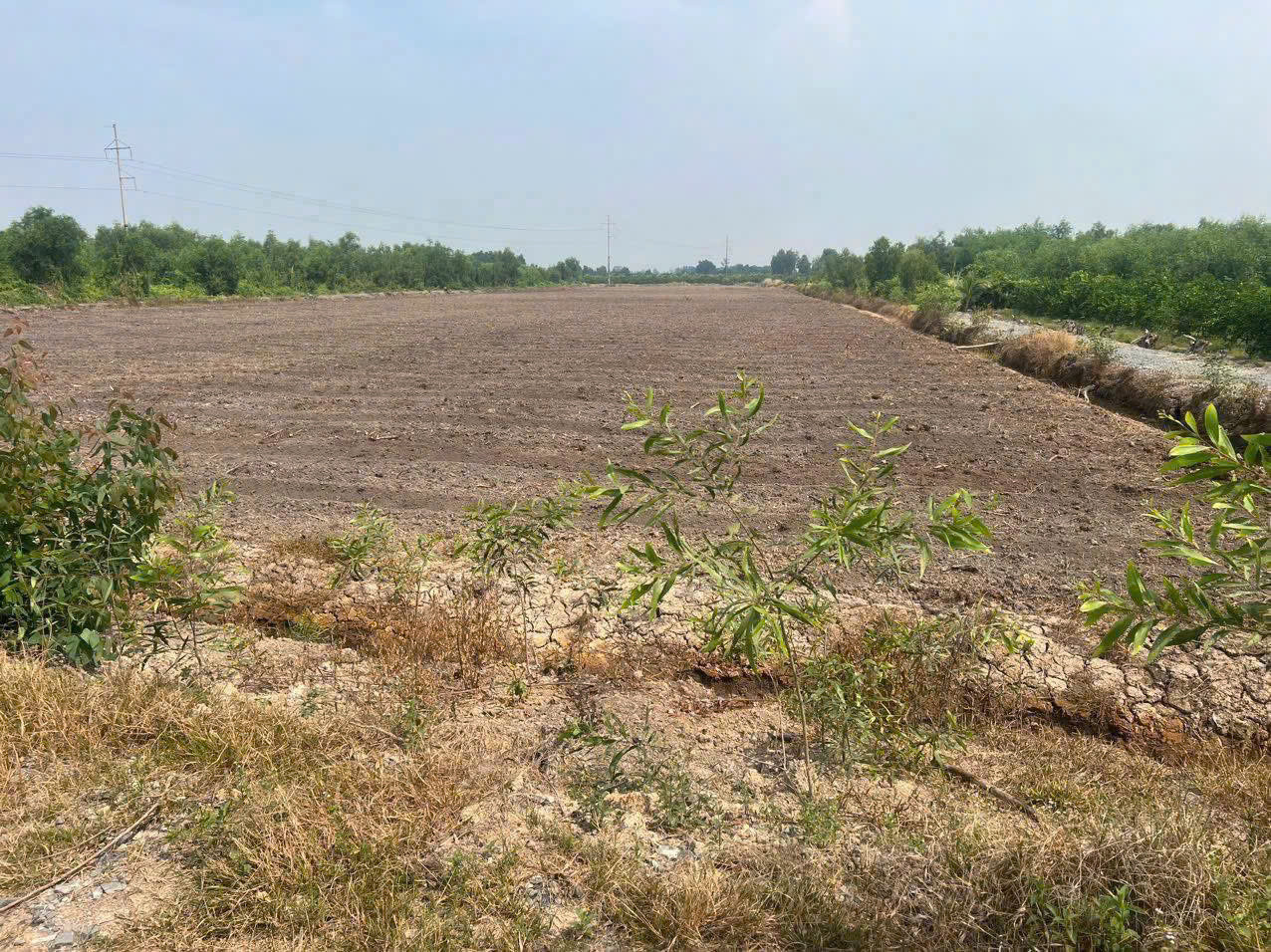 1,4ha đất vườn ven sông xã Bình Đức, huyện Bến Lức giá 10,9 tỷ