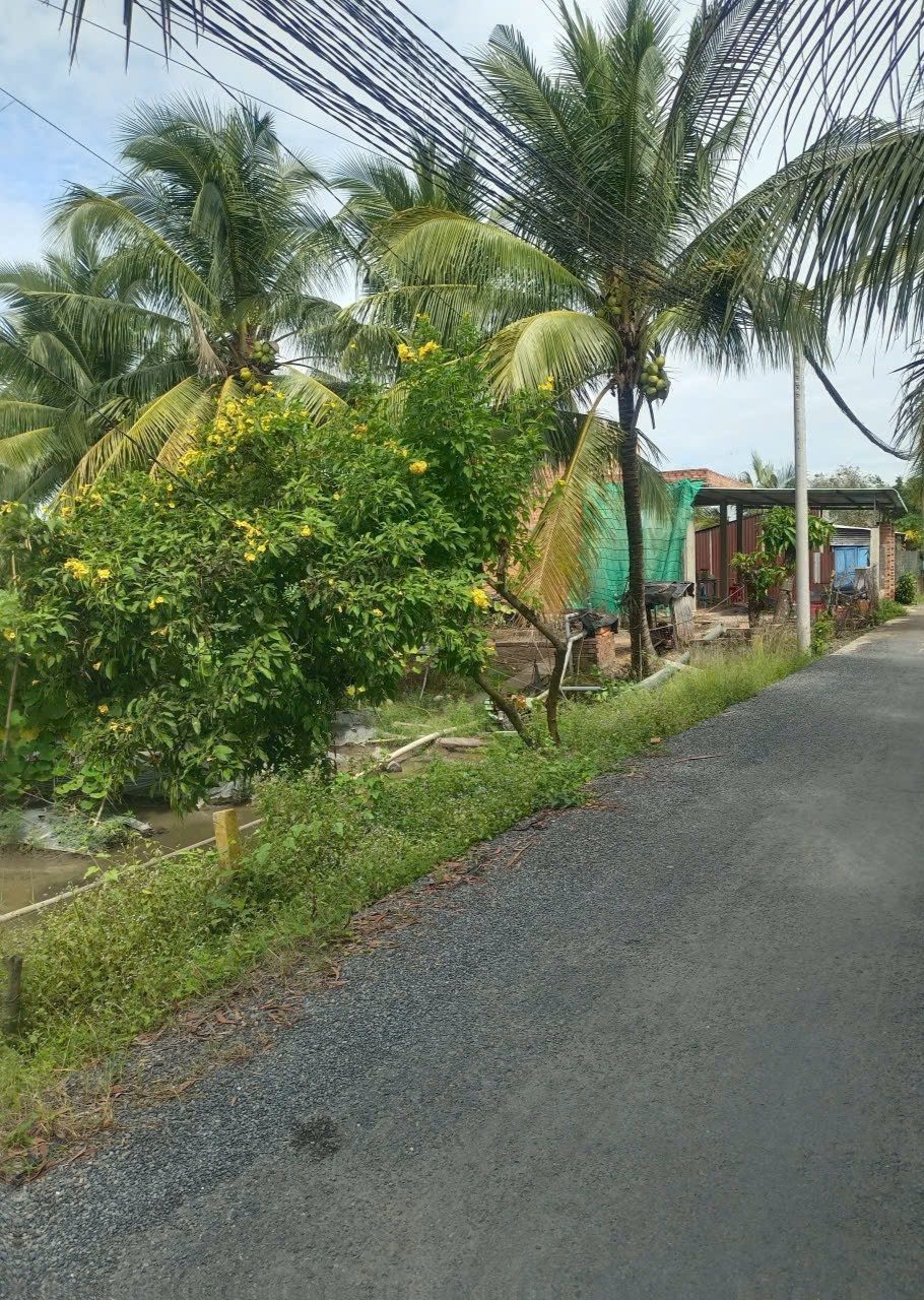 47x90, 4000m2 LÚA, GIÁ THƠM HƠN MÍT,  MT NHỰA ÔTÔ RỘNG, 1 SẸC NGẮN 816, GẦN CHỢ, SÔNG VCĐ, PHÀ TRÀ CÚ, ĐÃ PHỦ HỒNG, CÁCH NHÀ NGHĨ HOA HỒNG, UBND XÃ , BHX 300m