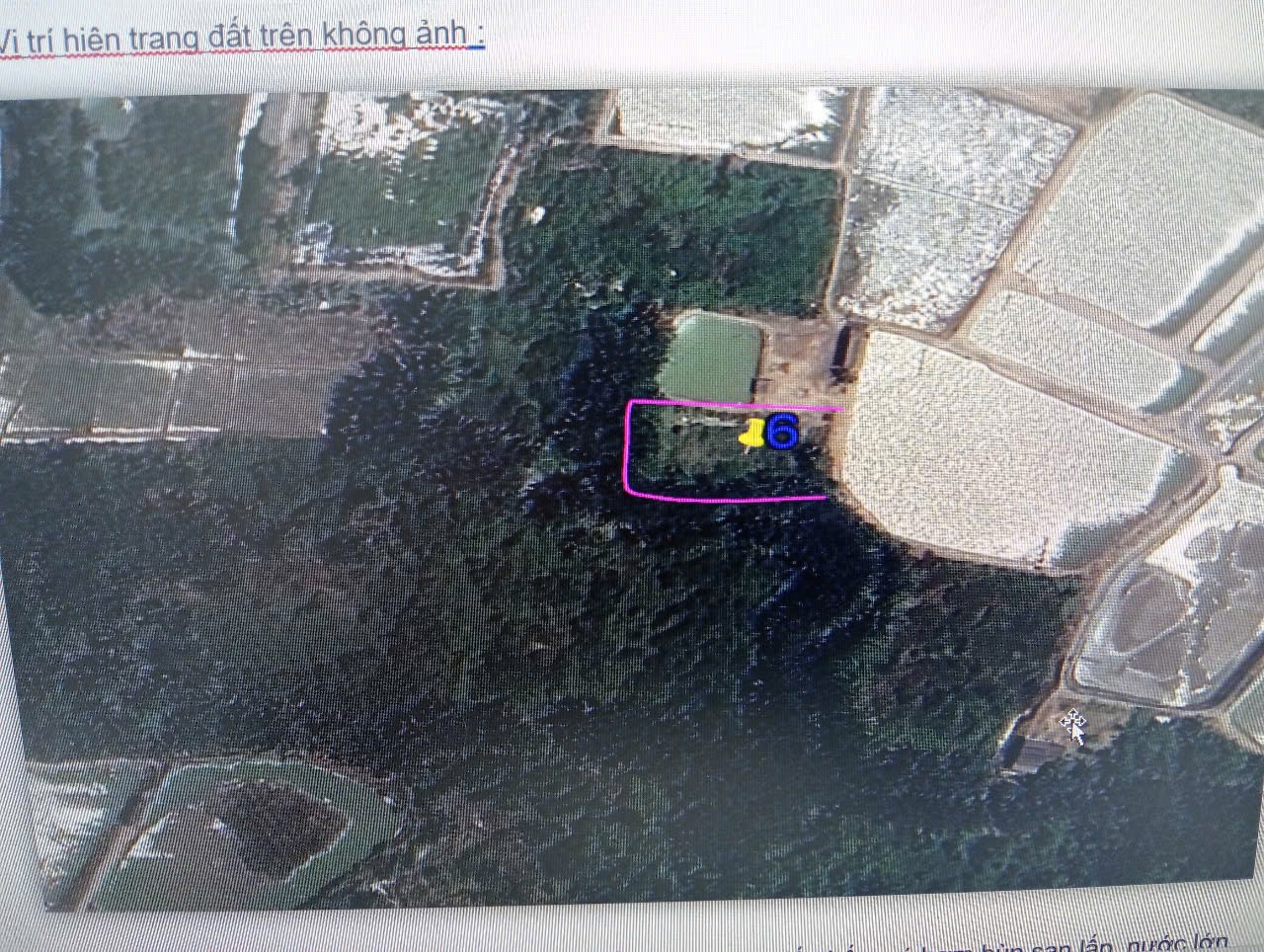 Bán đất 1690m² 2.54 tỷ tại Xã Bình Khánh Huyện Cần Giờ