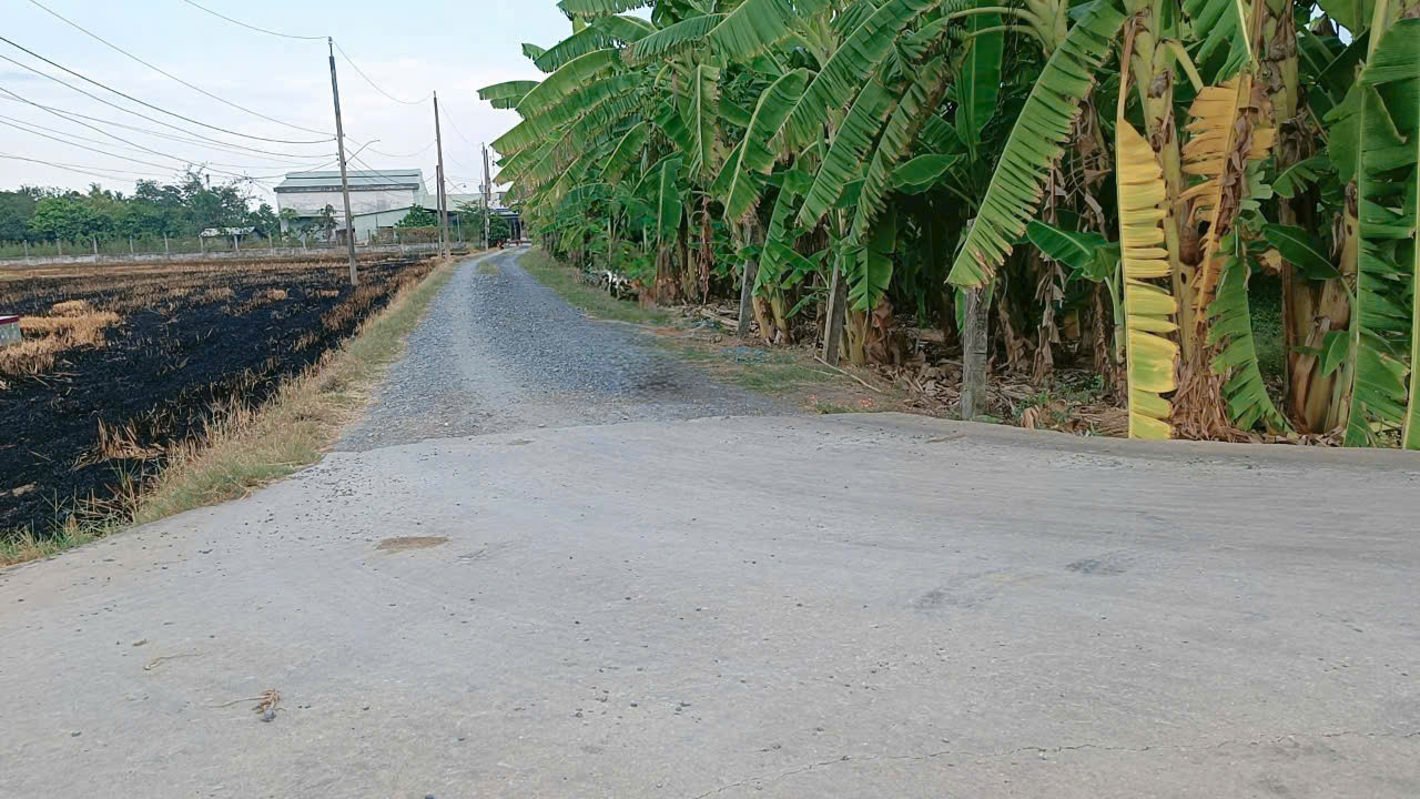 Cách chợ Binh lãng TL833 vào 1km , 5x26.5 giá 490tr Tân Trụ Long An