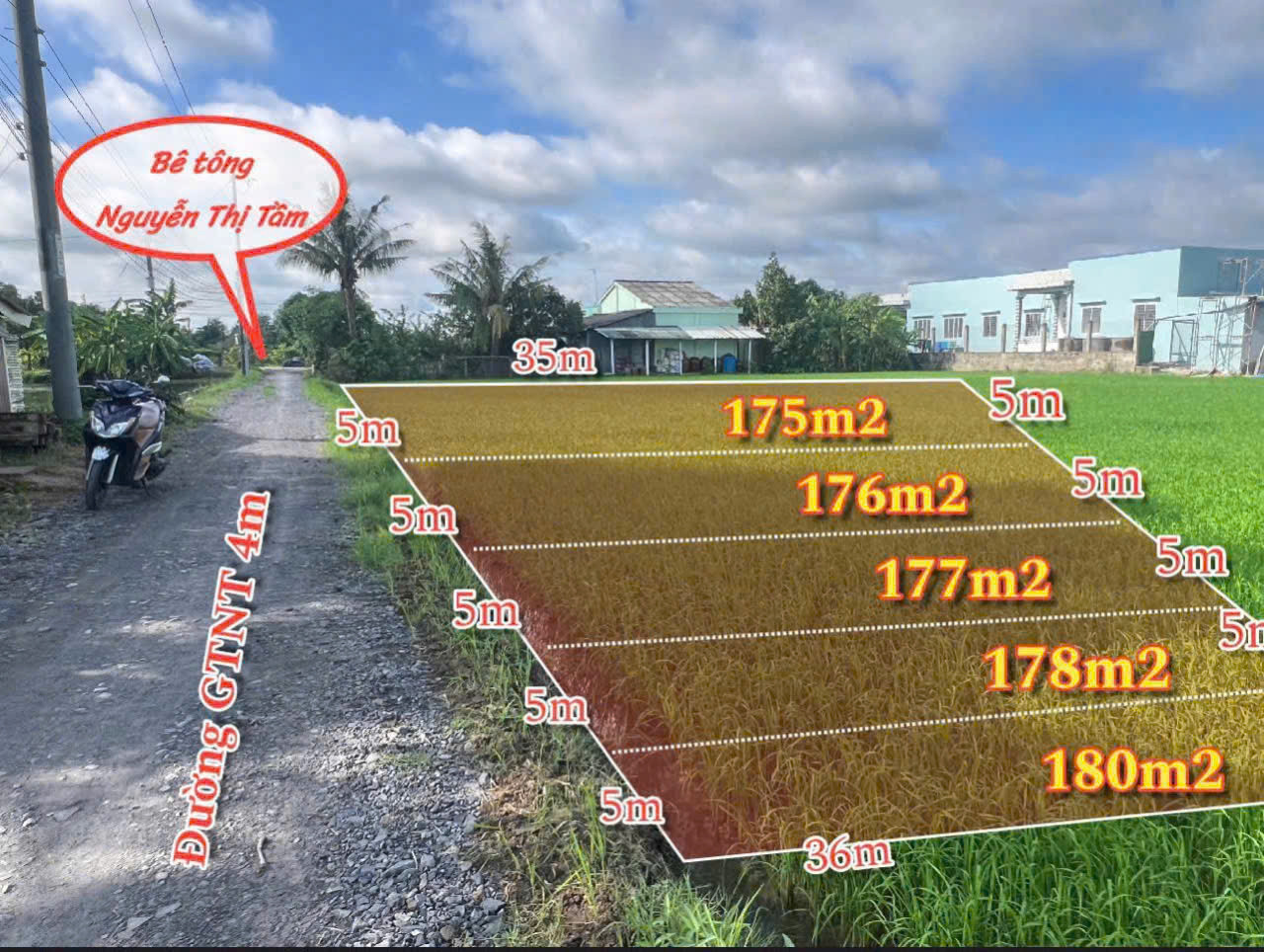 Bán đất thổ + lúa 1000m2 lúa + 113m2 thổ cư giá 1ty150tr