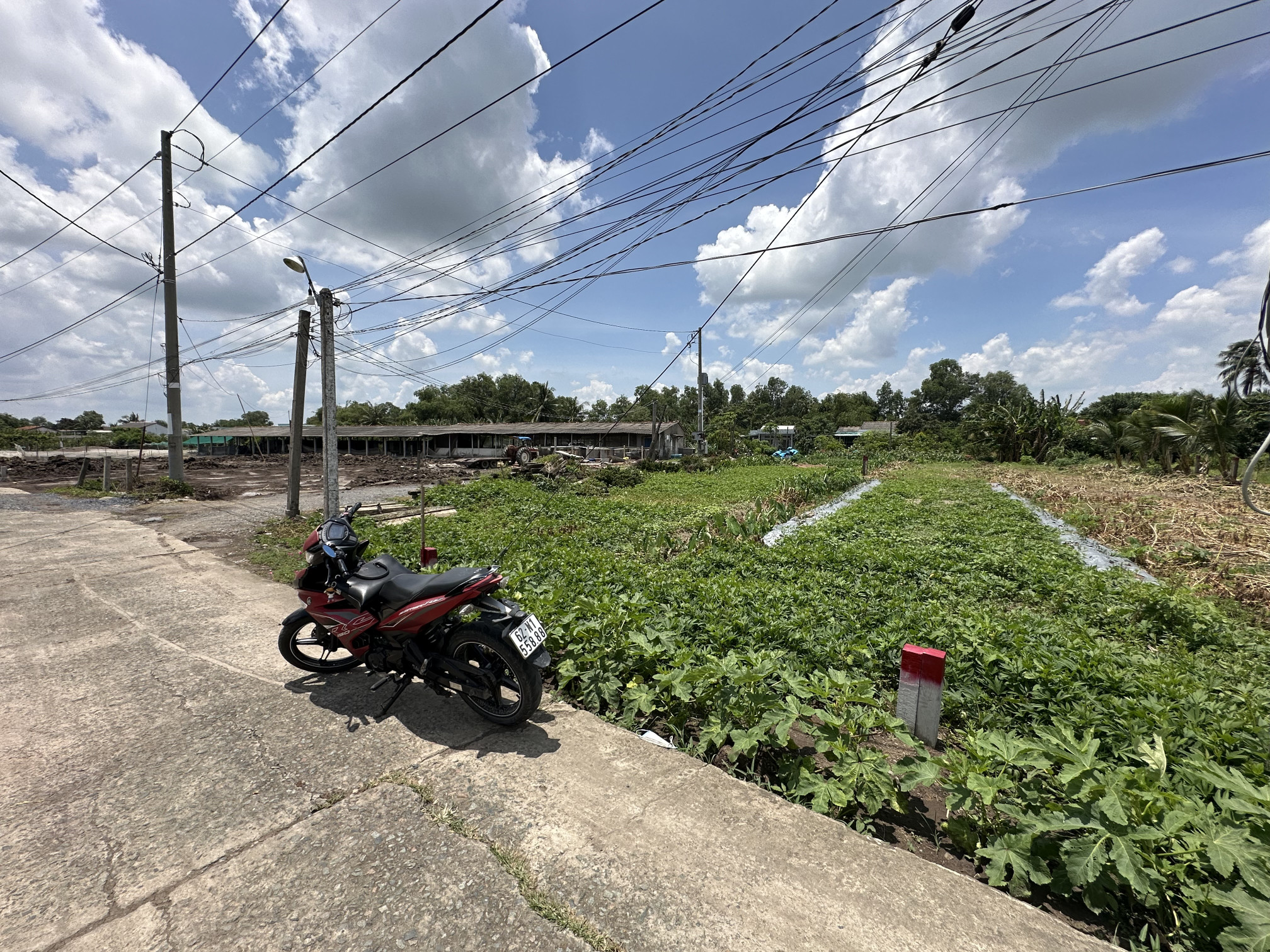 🌈🌈 Bán nền thổ 5x26,7m Tân Trụ - cách Vành Đai 4 300m