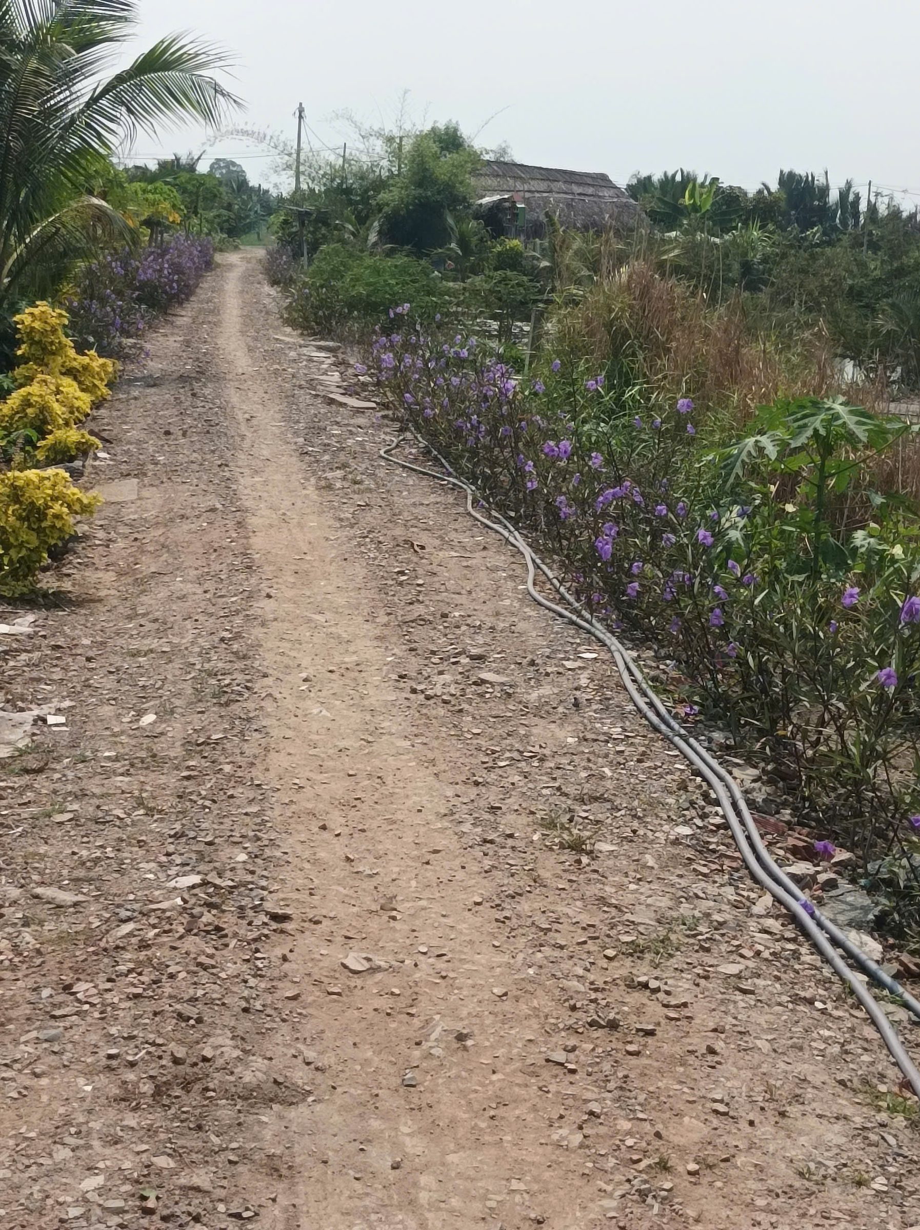 ⛔ HIẾM: 2.8 TRIỆU/M² – 1000M² NGANG 26M – KHÔNG MUA LÀ MẤT