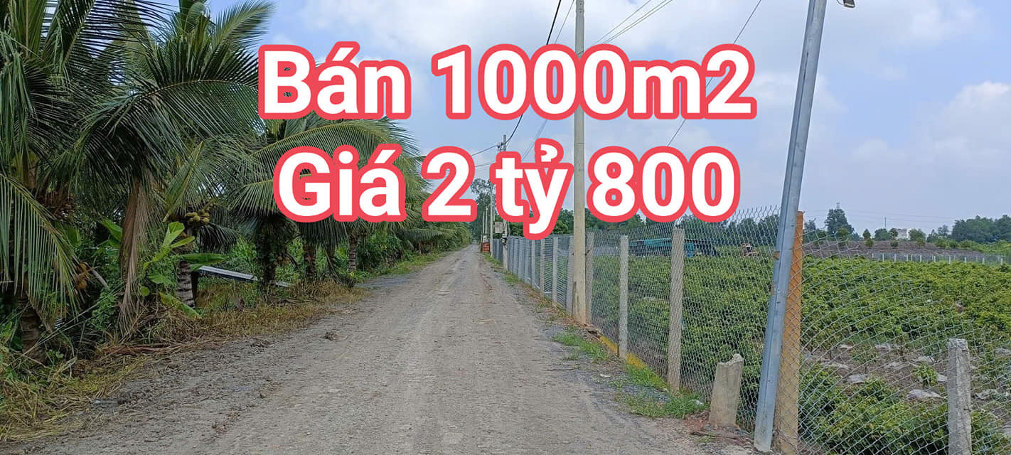 BÁN 1000M2 - ĐẤT VƯỜN - GIÁ CHỈ 2 TỶ 800- BÌNH LỢI - BÌNH CHÁNH