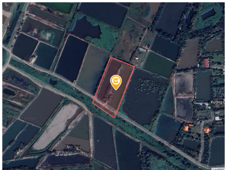 Bán đất 1600m² ngang 20m giá 3.5 tỷ tại Xã Bình Lợi LH: 0909036285