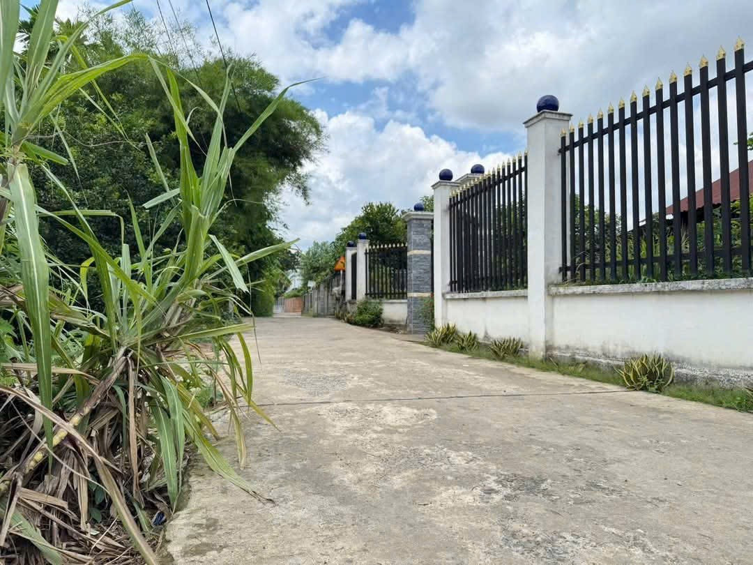 Bán Đất Thổ Cư Bình Lợi Cách HL7 200m Gần Sông Mát Mẽ