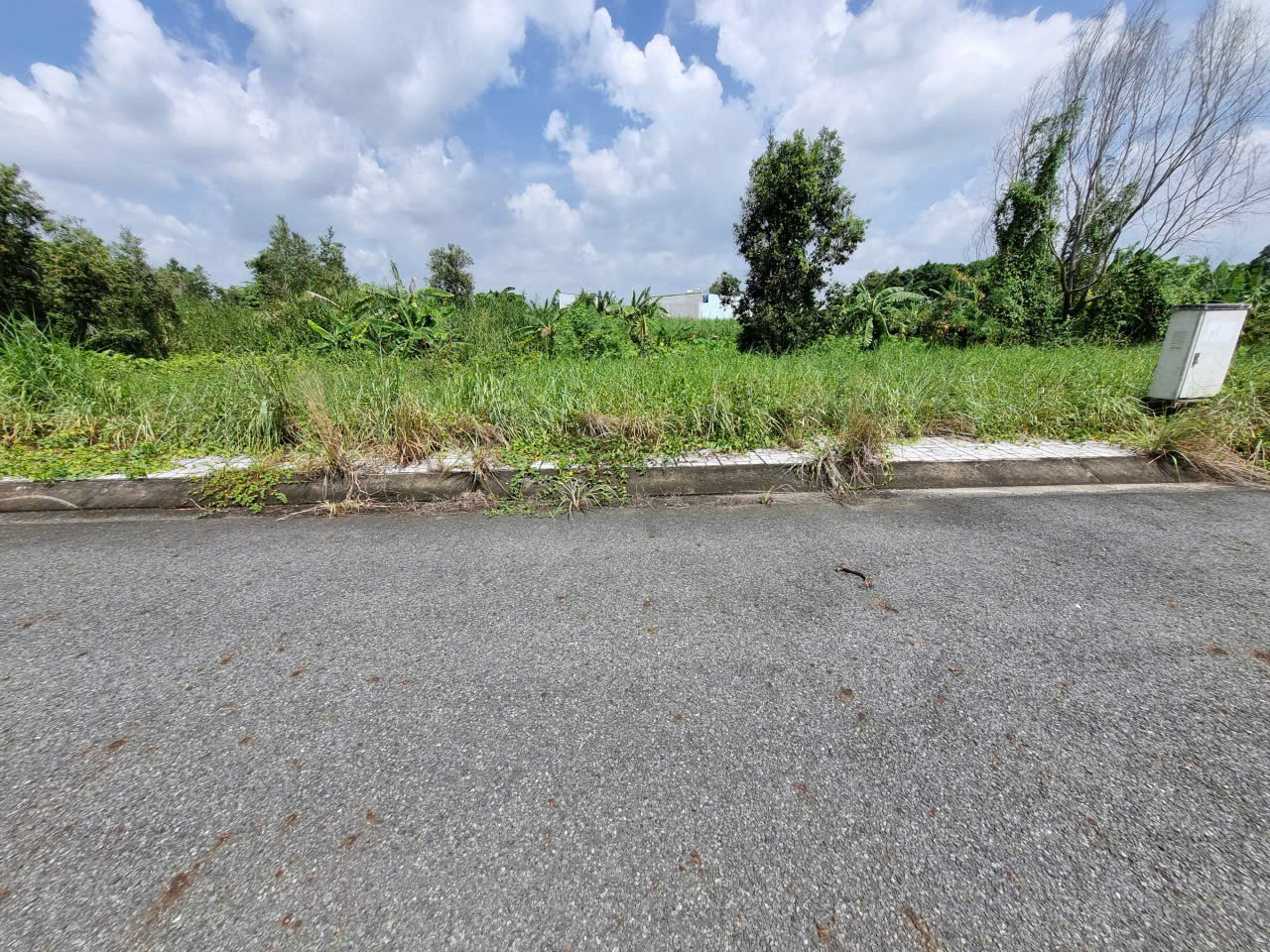 (S679) Đất xã Bình Mỹ, dt 81m2, full thổ, giá 2 tỷ TL