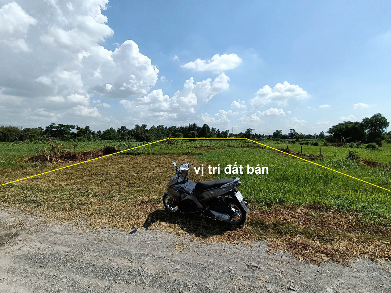 Bán Đất Mặt Tiền Kênh Đá Hàn Xã Bình Mỹ, Củ Chi – Gần Vành Đai 3 – Giá Chỉ 4 Triệu/m²