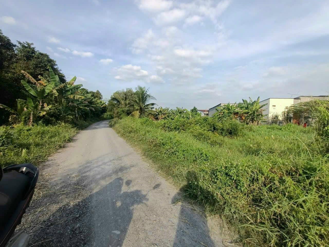 4045m2 (full thổ cư) MT Đ. Sông Rạch Dứa trải đá chỉ giới 10m, Bình Mỹ Củ Chi, thích hợp kho xưởng