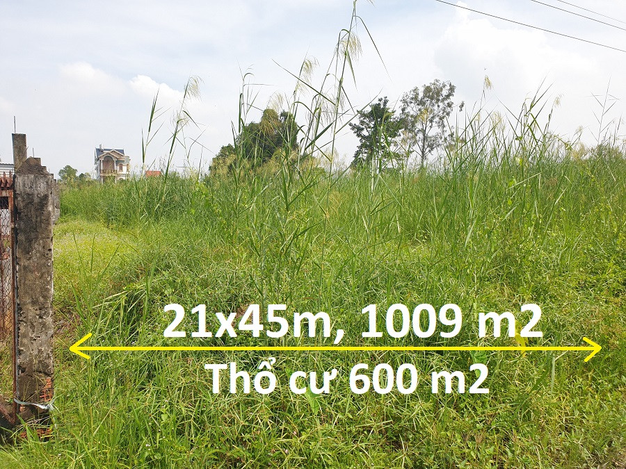 1009 m2, 21x45m, thổ cư 600m2, mặt tiền đường kênh Ông Huyện thông xe tải, Bình Mỹ Củ Chi
