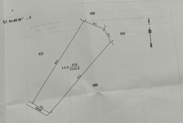 Bán đất 2123.4m² tại Xã Bình Phan Huyện Chợ Gạo