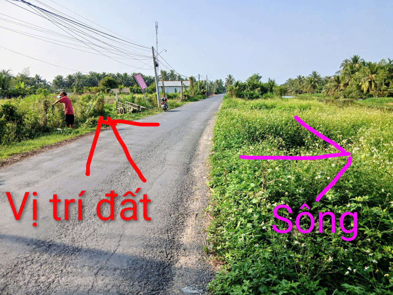 Bán đất mặt tiền Sông Bình Phan, đường nhựa ô tô thông thoáng.
-Vị trí: Đất cách UBND xã An Thạnh Thủy( xã mới) 800m. ( Xã cũ là Bình Phan - Huyện Chợ Gạo). Cách Chợ xã Bình Phan, Trường học 700m.
- Nền đất cao bằng lộ.
- Điện nước chính, đèn đường.
-