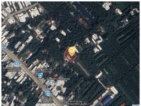 Bán đất 11628m² tại Xã Bình Thành Huyện Thanh Bình