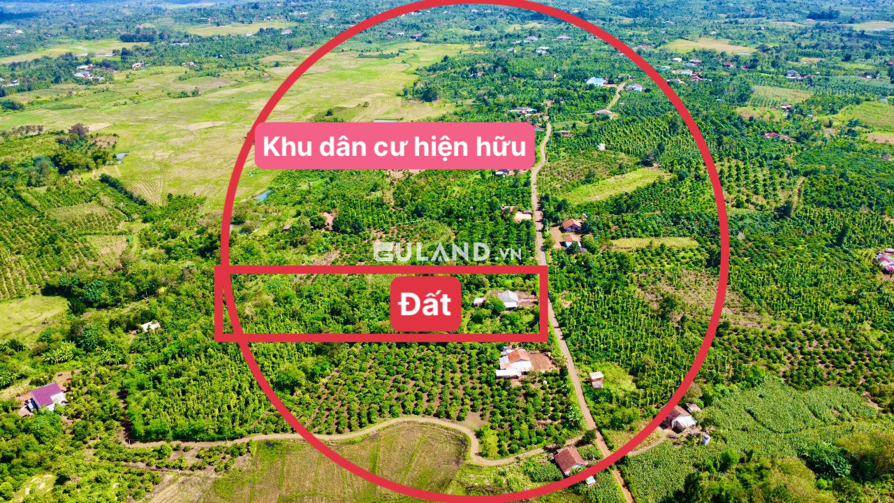 Tìm đâu ra gần 7 sào đất full hồng sẵn 100m2 TC sẵn nguồn thu trên đất cà phê và trái cây đất tại Bình Thuận- Buôn Hồ mà giá chỉ 868tr bớt lộc cho kh thiện chí LH 0945372932