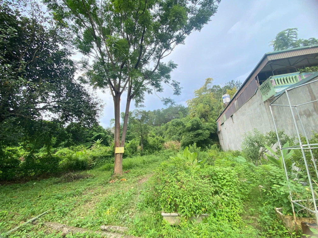 Đất tổ 19 Him Lam đb